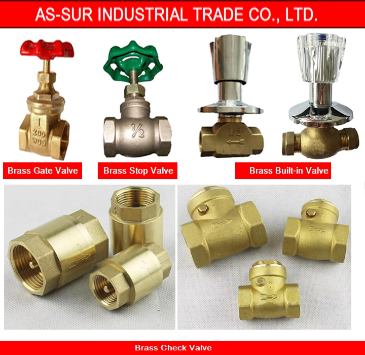 Forged Brass Plumbing Angle Valve with Factory Price A1208